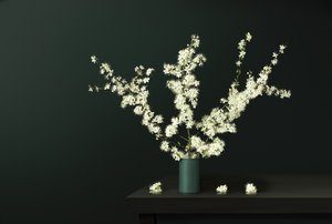 Färska vårblommor av Juan Antonio Palacios