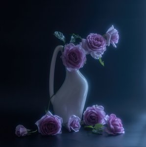  av Judy Tseng