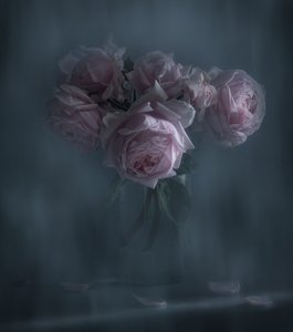 Stämningsfulla rosa rosor