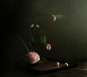 Ikebana med rosa kamelia av Judy Tseng