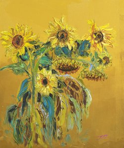 Guldgula solrosor blommar