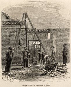 Vägningen av teet före dess expedition på kommersiella marknader i en krutfabrik i Fati Bay (Canton Province), graverad efter en teckning av J.Ferat som illustrerar resan till Kina, av J. Thompson, 1870-1872, publicerad i " Le tour du monde” 18 av Jules (after) Ferat