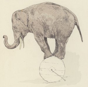 Elefant balanserar