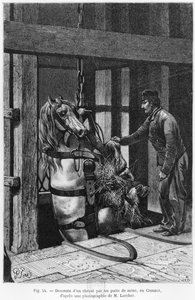 Häst som vinschas nerför kolgruben vid Le Creusot, illustration från 