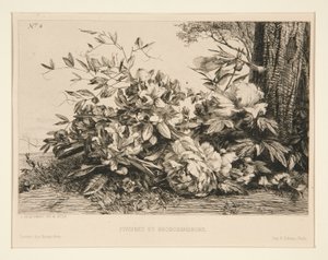 Pioner och Rhododendron av Jules Ferdinand Jacquemart