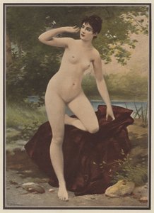 Det oförsiktiga (färg litho)