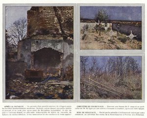 Efter slaget, Courgivaux-kyrkogården, Björkskog