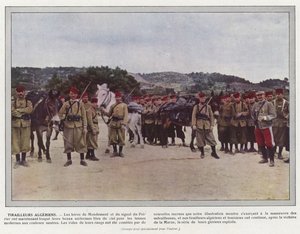 algeriska skärmytslingar