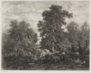 Dammen, efter Théodore Rousseau (1812-67)