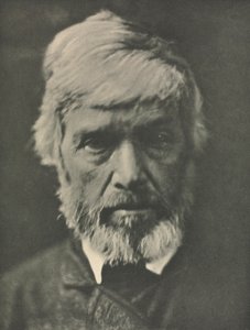 Kameraarbete: Carlyle av Julia Margaret Cameron