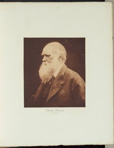Charles Darwin av Julia Margaret Cameron