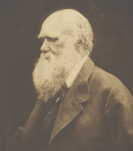 Charles Darwin, 1868, tryckt ca. 1893. av Julia Margaret Cameron