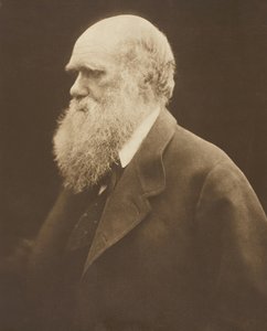 Charles Darwin, ca. 1868, tryckt 1875. av Julia Margaret Cameron