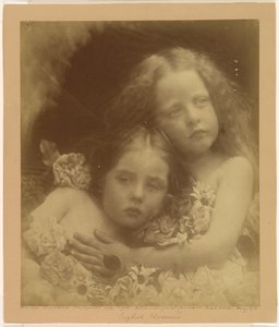 Engelska blommor av Julia Margaret Cameron