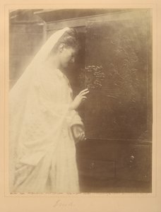 Enid av Julia Margaret Cameron