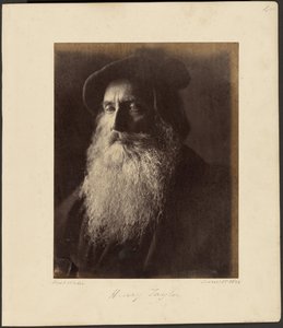 Henry Taylor av Julia Margaret Cameron