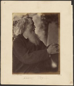 Henry Taylor av Julia Margaret Cameron