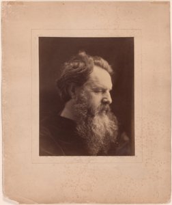 James Thomas Fields av Julia Margaret Cameron