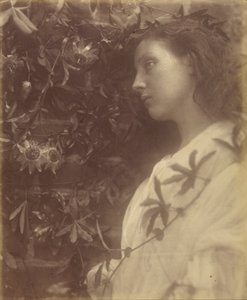 Maud Där har fallit en präktig tår från passionsblomman vid porten av Julia Margaret Cameron