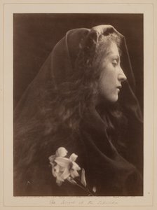 Ängeln vid graven av Julia Margaret Cameron