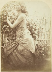 Kvinna, Ceylon