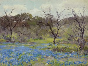 Tidig vår - Bluebonnets och Mesquite