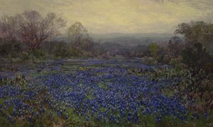 Untitled - Field of Bluebonnets (olja på duk)