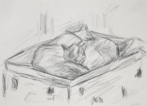 Cats Nestling, 2015 (penna)