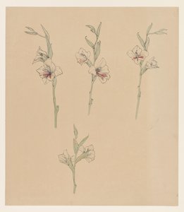 Blomsterstudier av Julie de Graag