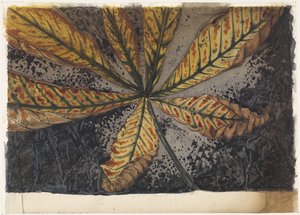 Kastanjblad av Julie de Graag