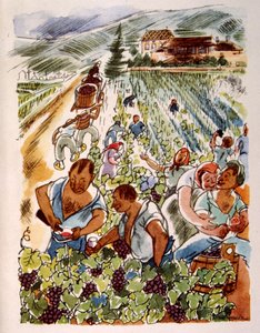fransk vingård. 1944. Illustration av Julien Pavil