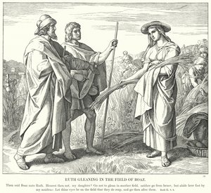 Rut som plockar på Boas fält (gravyr) av Julius (after) Schnorr von Carolsfeld