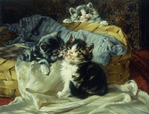 Lekfulla kattungar