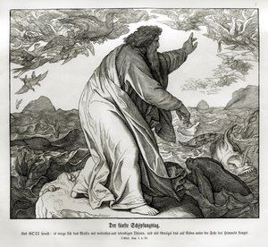 Skapelsens femte dag, Genesis av Julius Schnorr von Carolsfeld