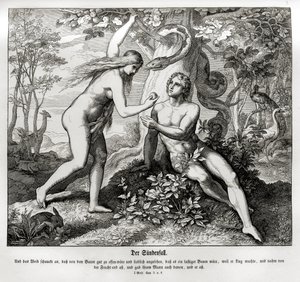 Syndafallet, Genesis av Julius Schnorr von Carolsfeld