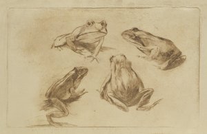 Grodor av Julius Wohlers