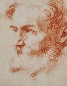 Huvud av en skäggig man av Jusepe de Ribera