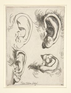 Studier av fyra öron av Jusepe de Ribera