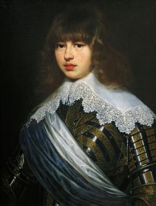 Porträtt av Christian V av Danmark (Flensburg
