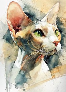 Sphynx-katt med gröna ögon