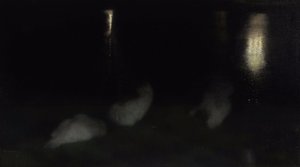 Nocturne. Svanar i Saxon Garden i Warszawa på natten