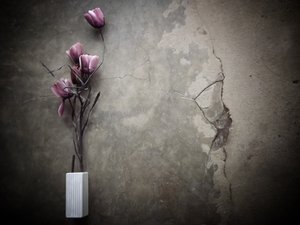 Stämningsfulla lila blommor på betong av Kahar Lagaa
