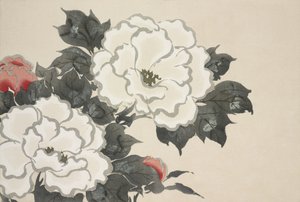Blommor från Momoyogusa
