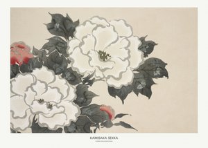 Blommor från Momoyogusa