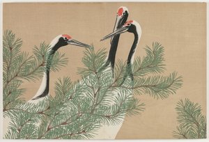 Flowers of a Hundred Worlds (Momoyogusa): Tranor (Tsuru)