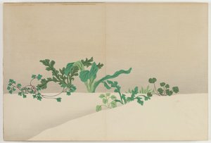 Blommor i hundra världar (Momoyogusa): Sju örter från tidig vår (Nanagusa) av Kamisaka Sekka