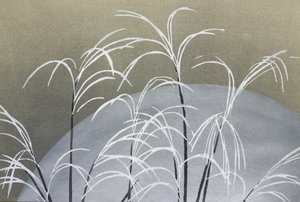 Frost från Momoyogusa