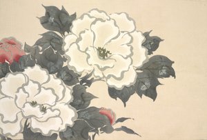 Fukami-Gusa, från Momoyo-gusa (The World of Things) Vol I, pub.1909 (träsnitt i färgblock)