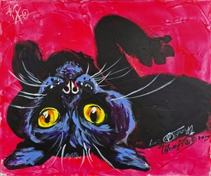 Den nyfikna svarta katten