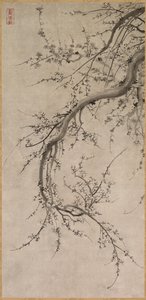 Prunus, 1600-talet. av Kano Ein